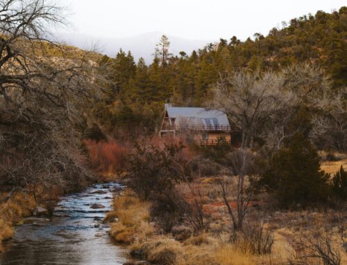 The Weight of Meaning: Why We Chase Significance